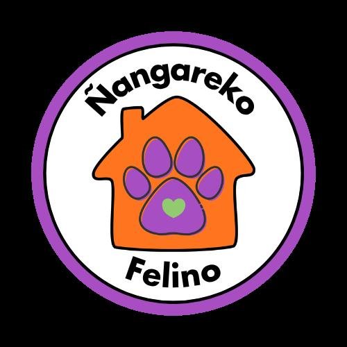 Ñangareko Felino