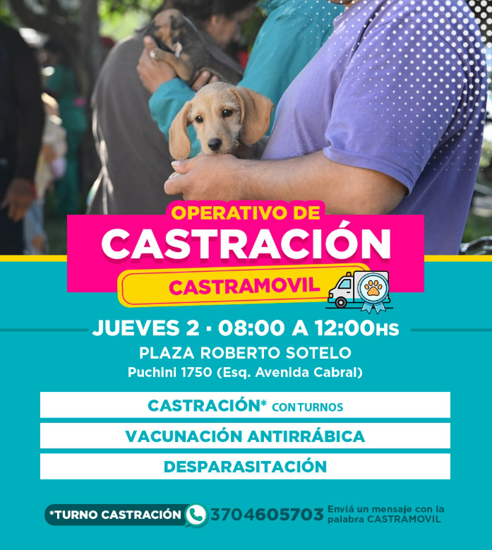 Flyer Castración Formosa Capital