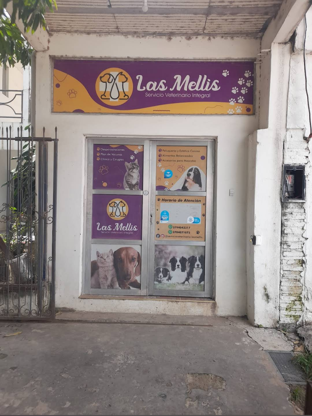 Veterinaria