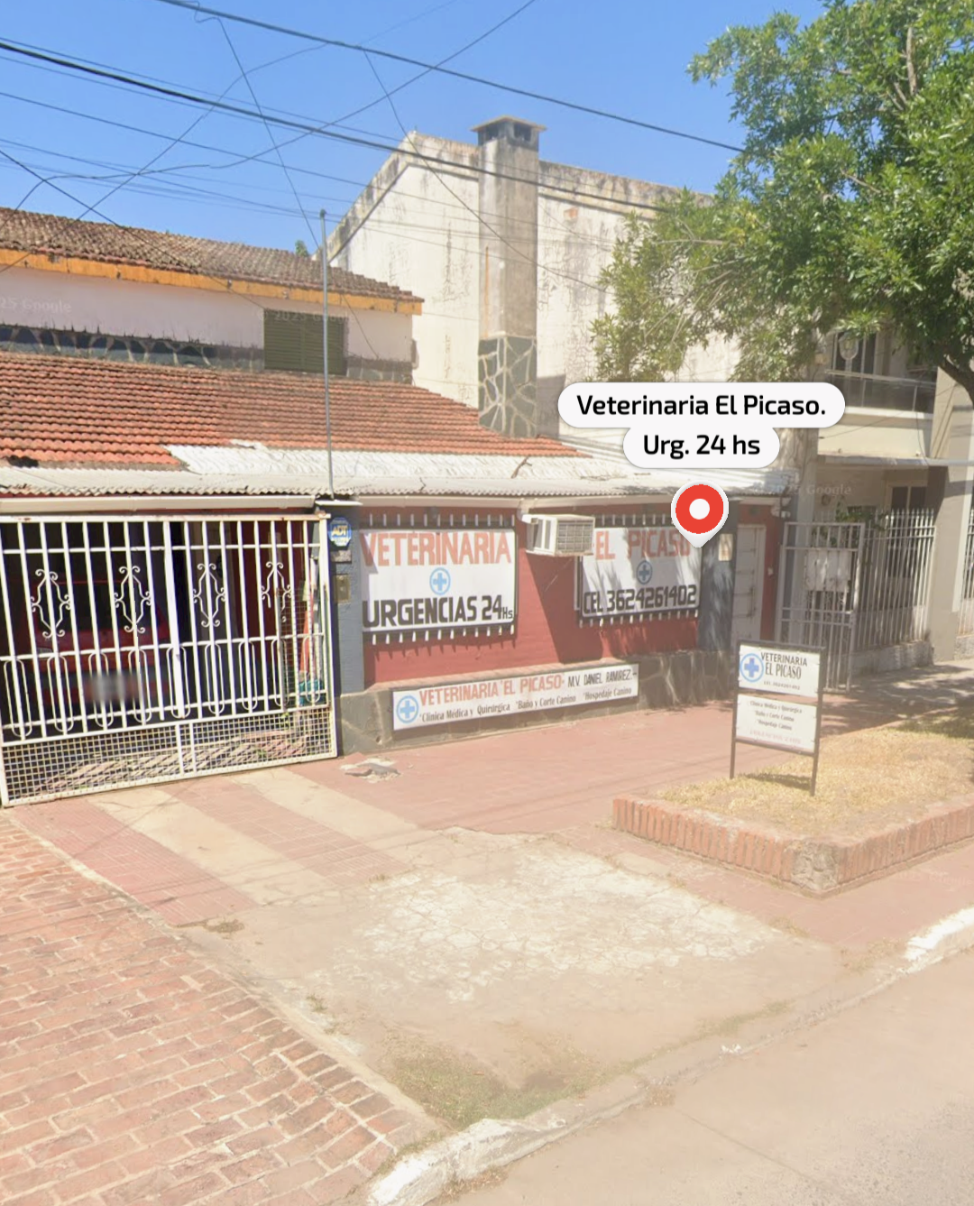 Veterinaria