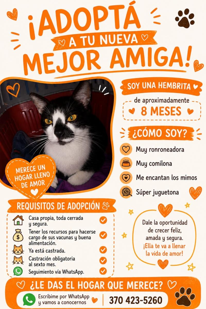 Mascota