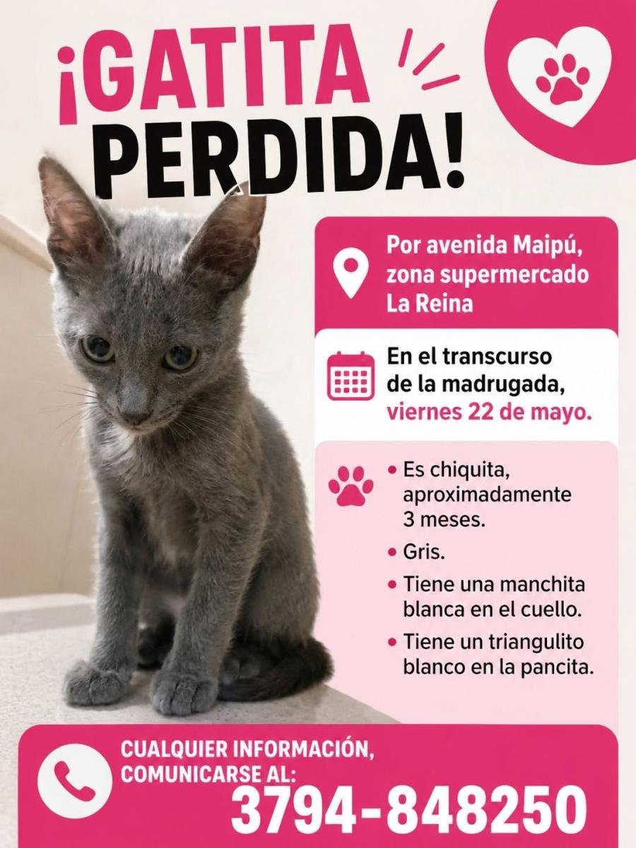 Mascota