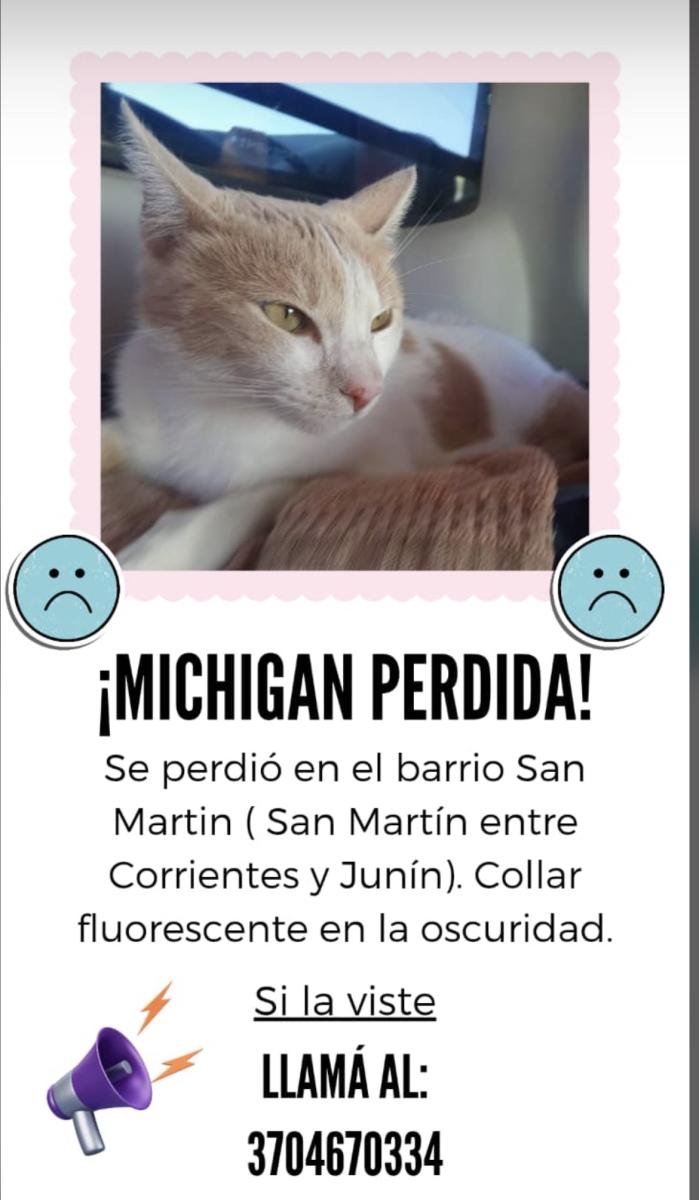 Mascota