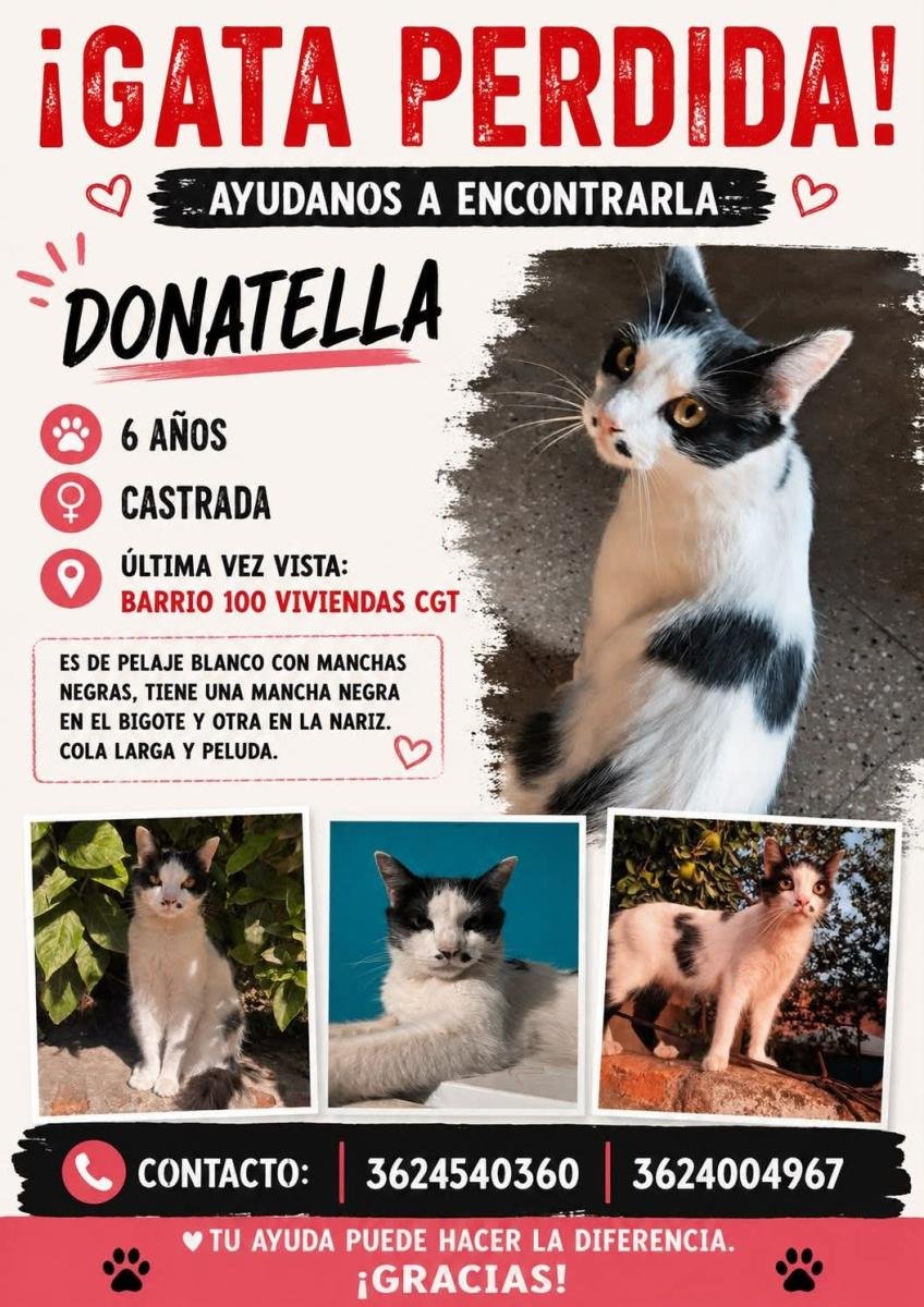 Mascota