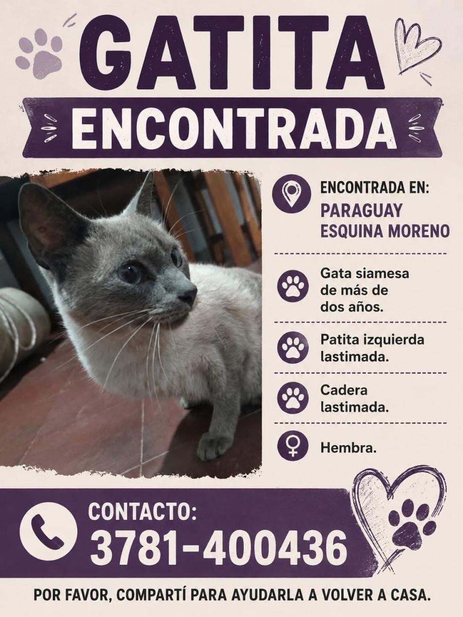 Mascota