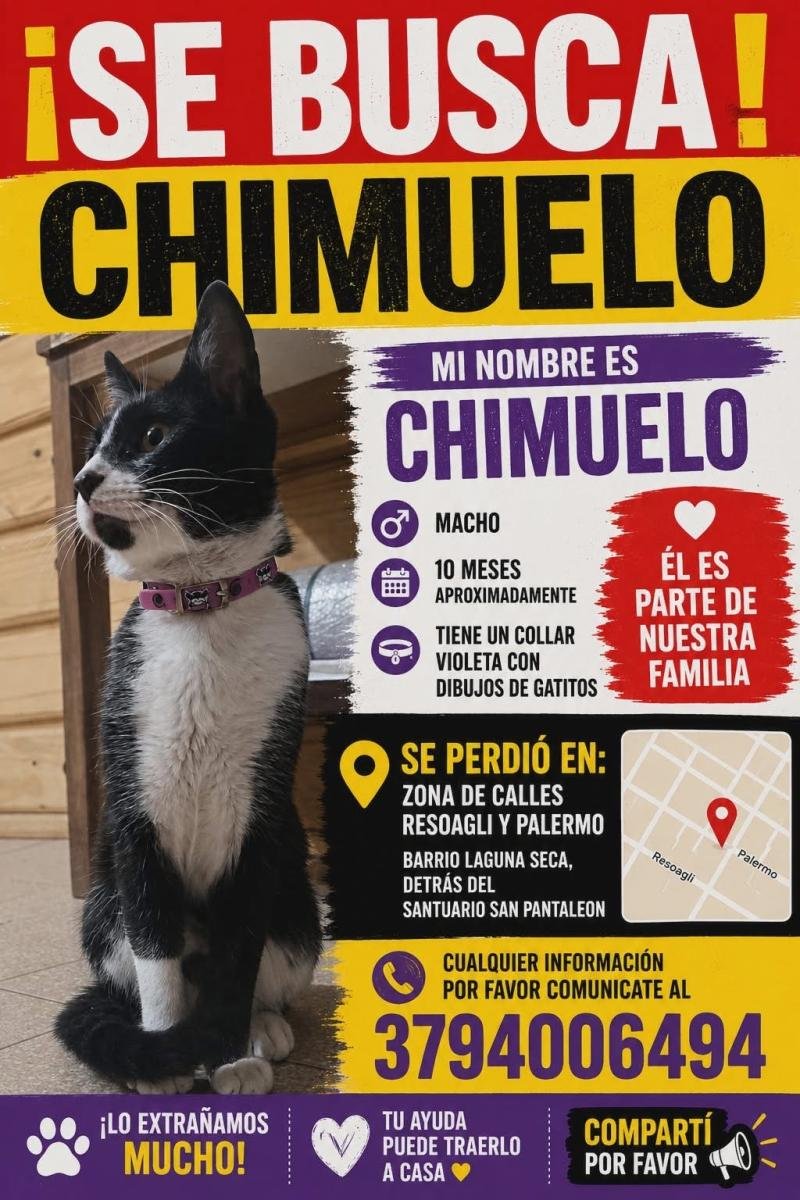 Mascota