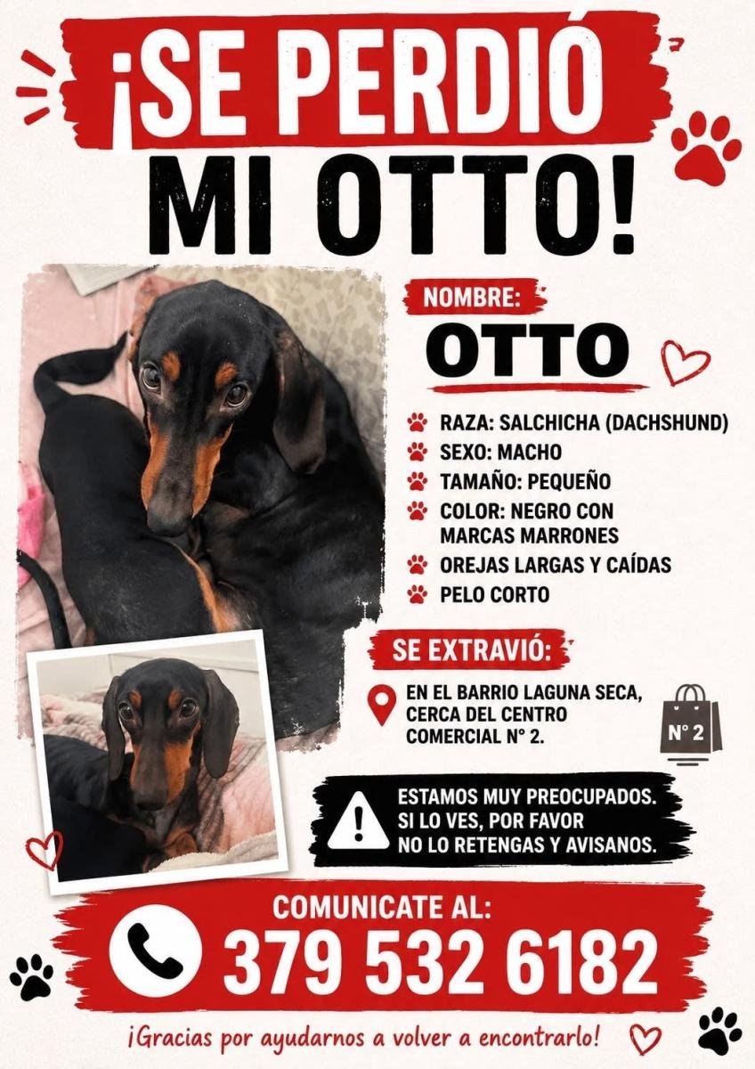 Mascota