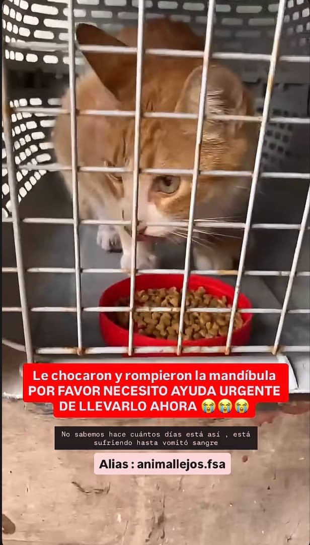 Ayuda
