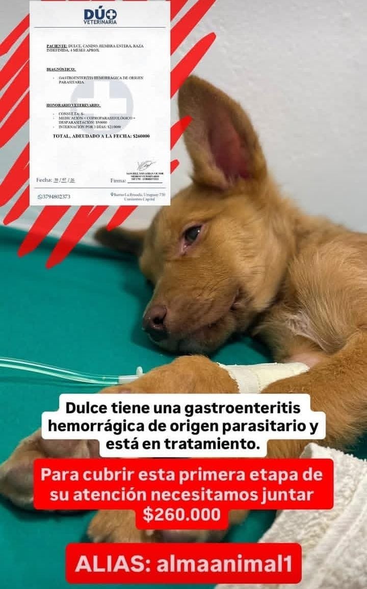 Ayuda