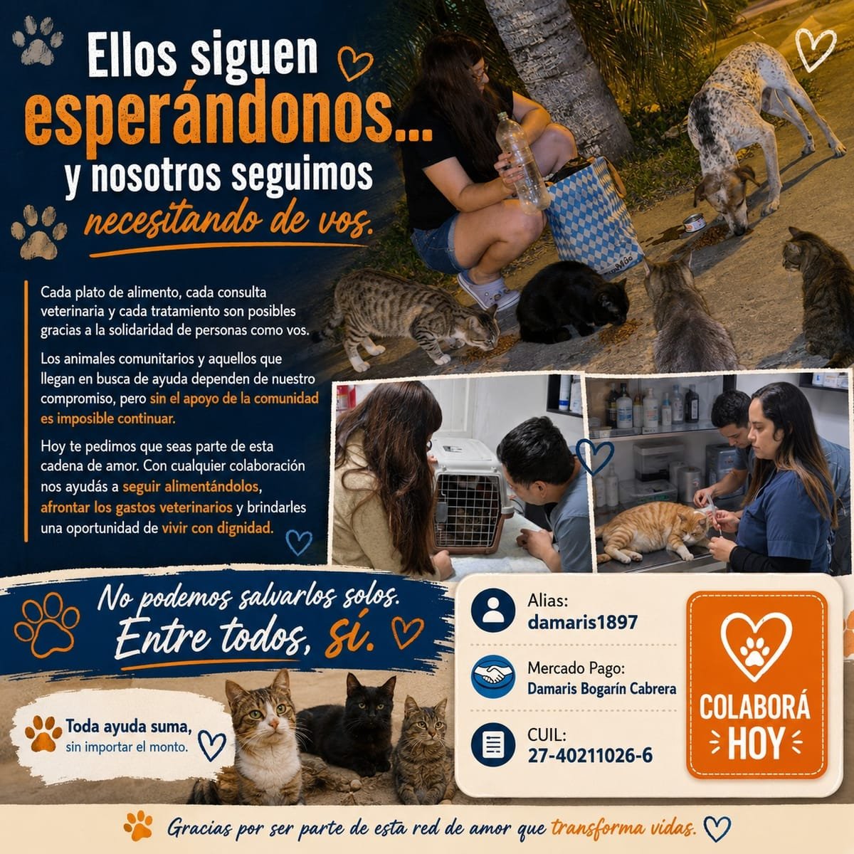 AYUDANOS A SEGUIR AYUDANDO 😺🐶