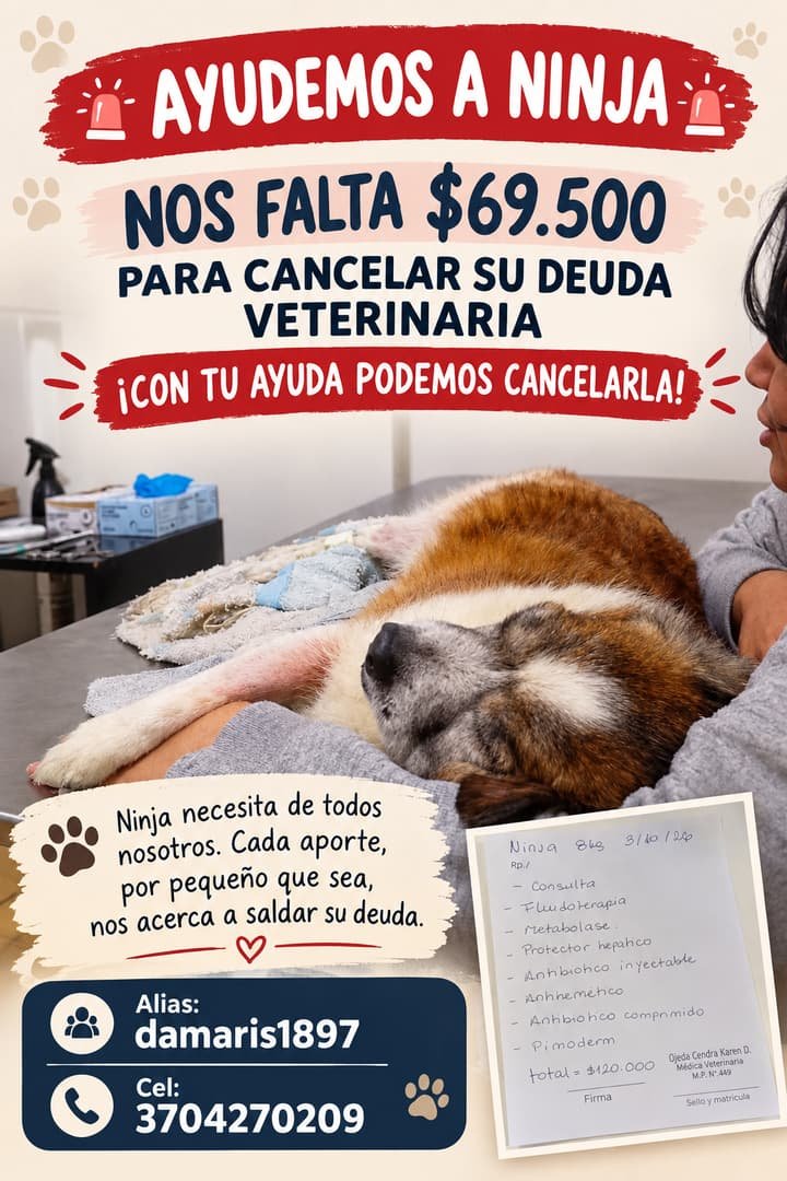 AYUDA PARA SALDAR SU DEUDA