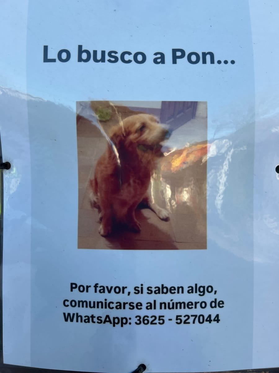 Mascota