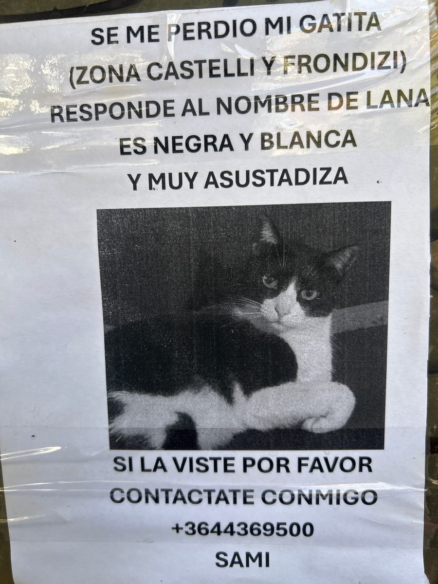 Mascota