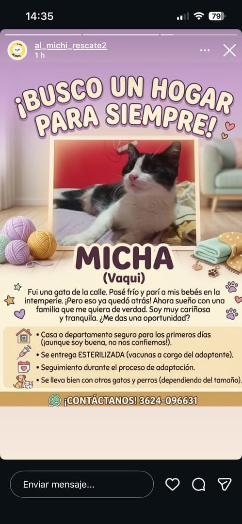 Mascota