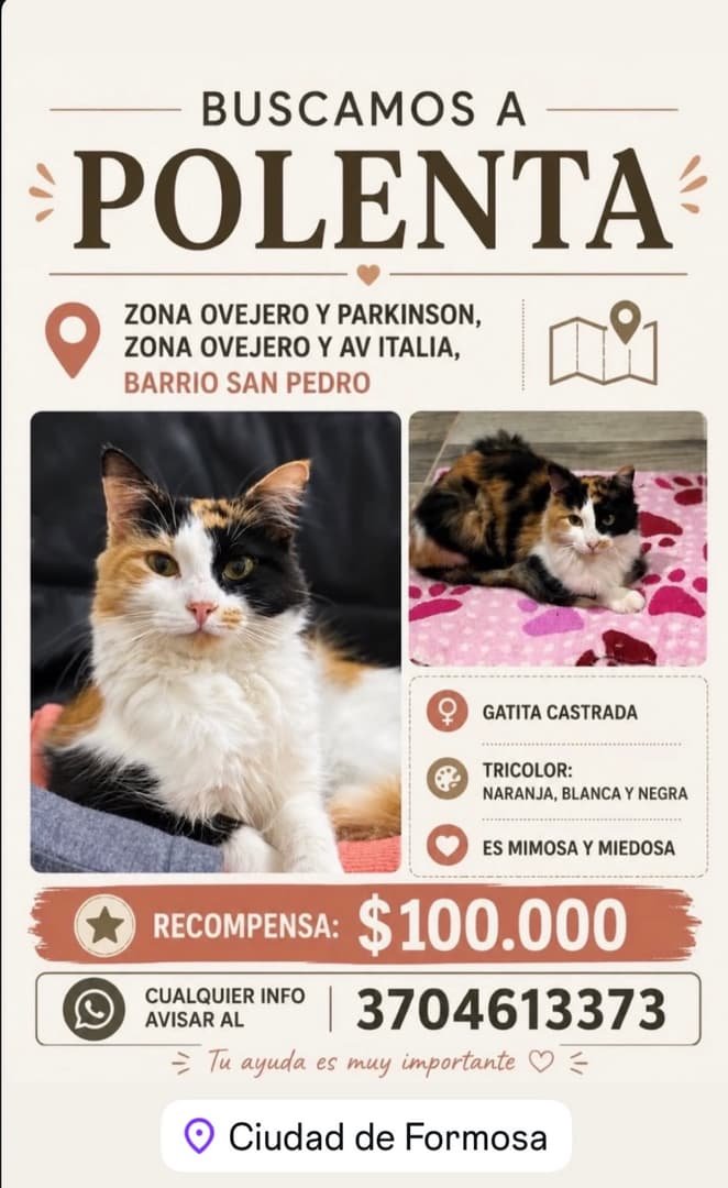 Mascota