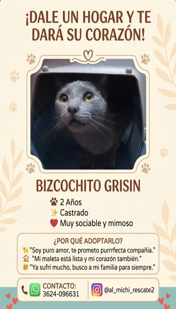 Mascota
