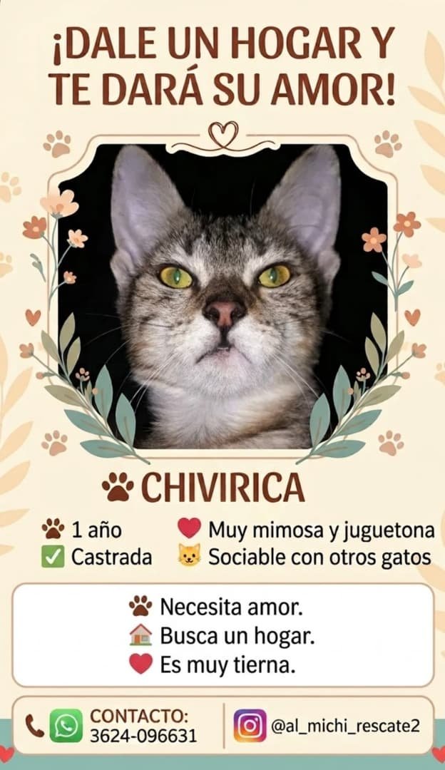 Mascota