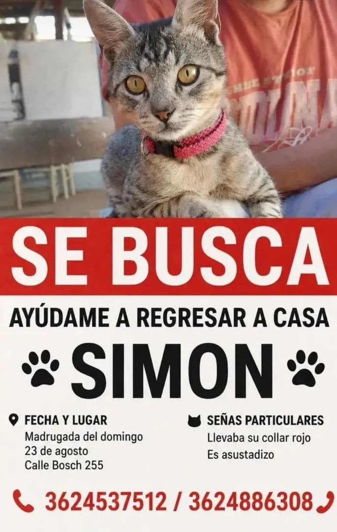 Mascota