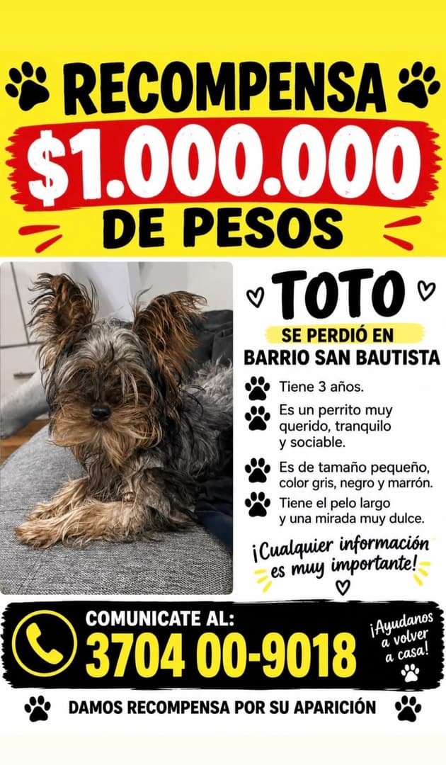 Mascota