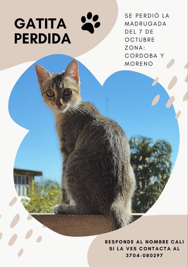 Mascota