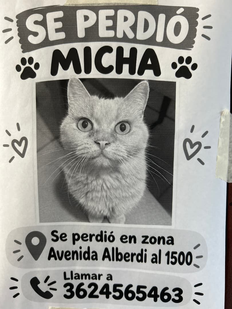 Mascota