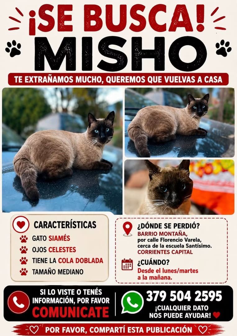 Mascota