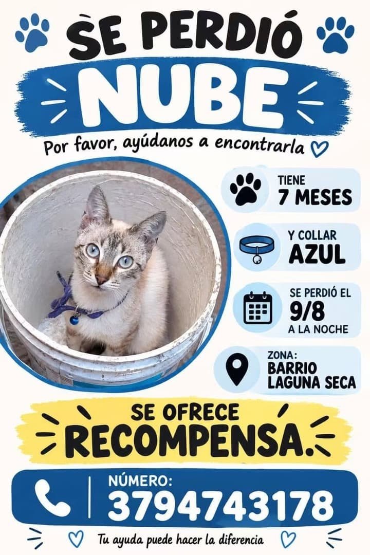 Mascota