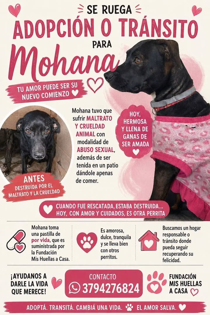 Mascota
