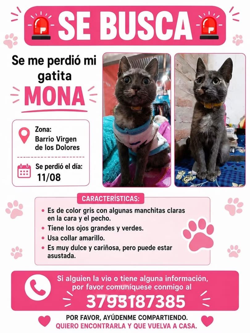 Mascota