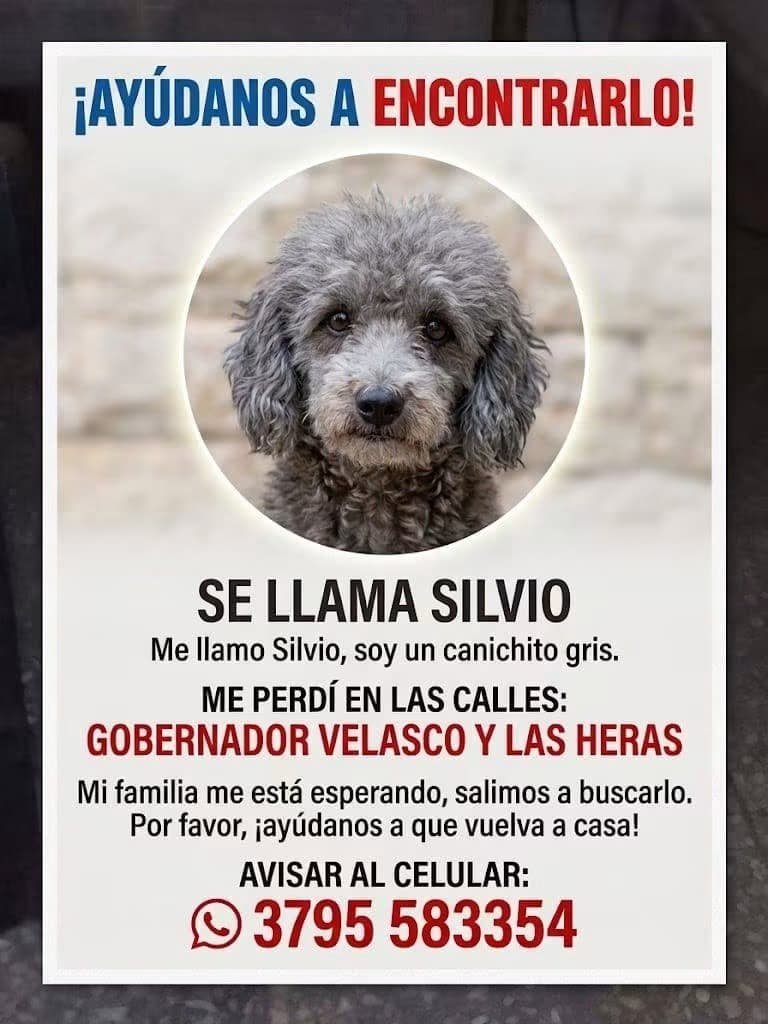 Mascota