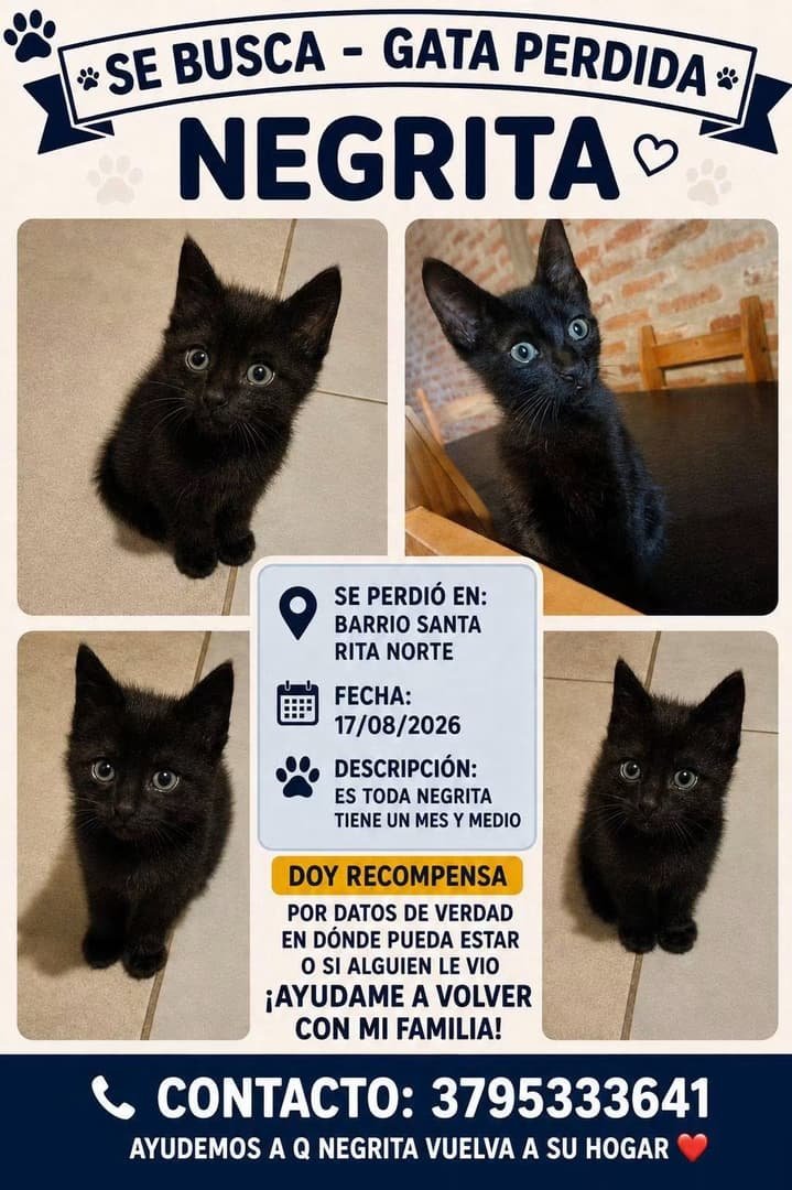 Mascota