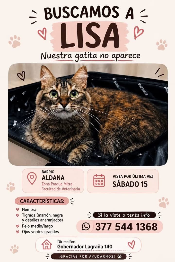 Mascota