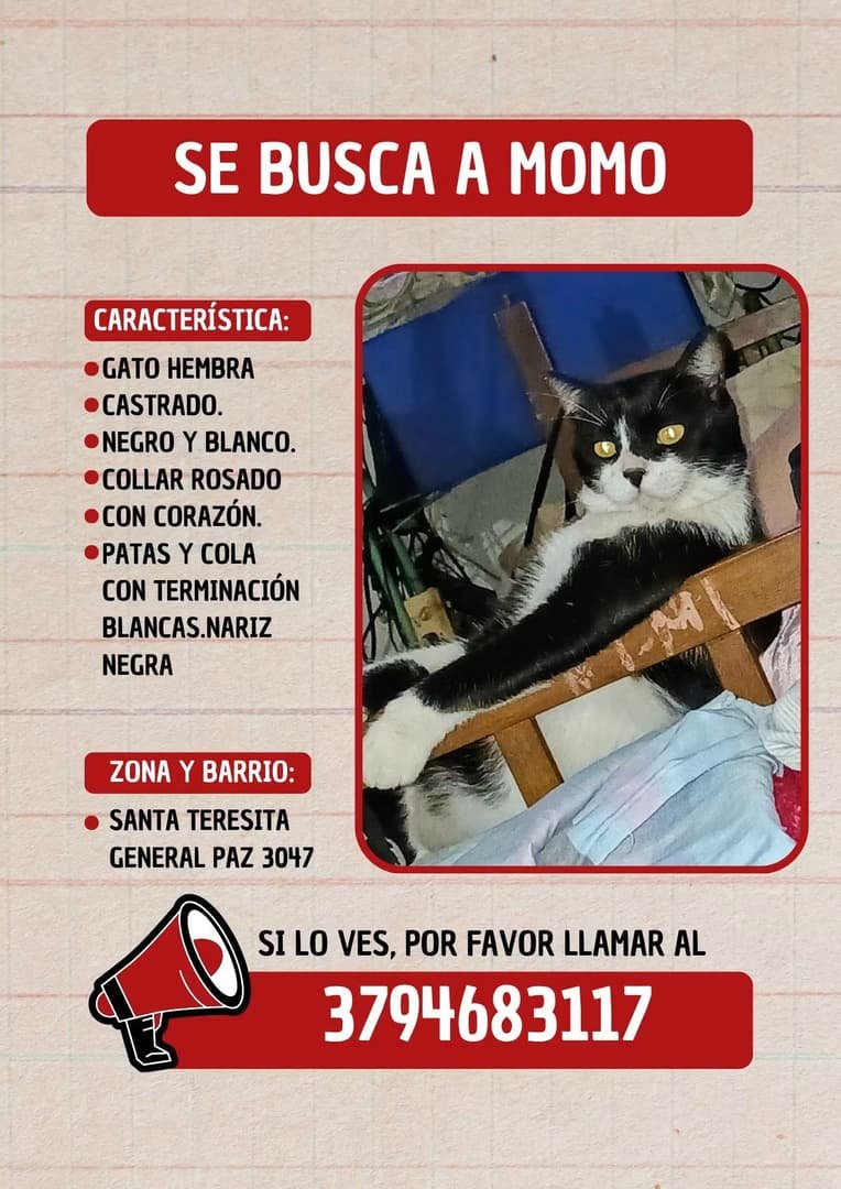 Mascota