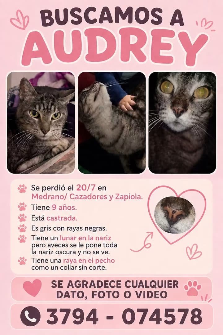 Mascota